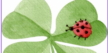 LE PETIT RAPPORTEUR : MAI 2025